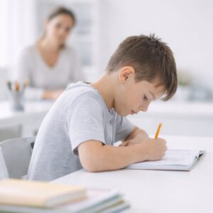 teilhabe begleitzeit